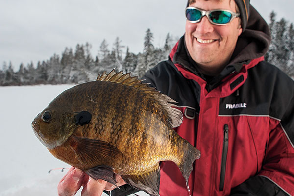 A Case for Selective Panfish Harvest
