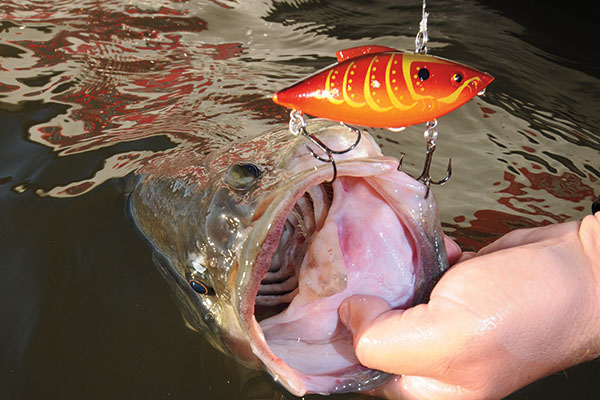 Lipless Crankbait Breakthroughs