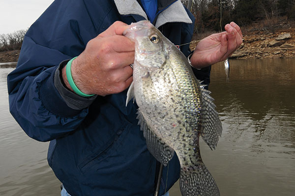 Using Jigs for Wintertime Crappie 