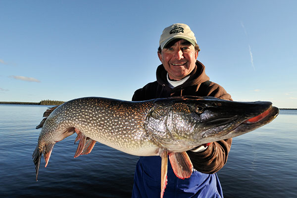 Top Pike Lure Choices