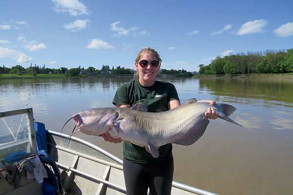 Monitoring the Red River Catfish Migration