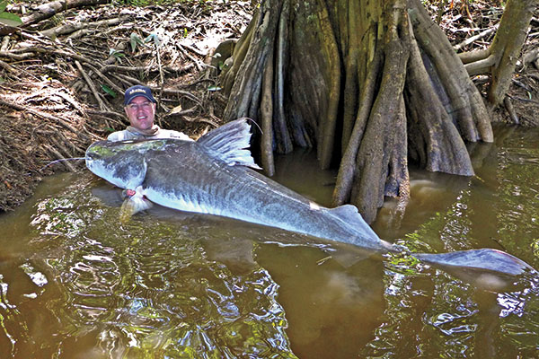 Steve Ryan with a Giant Piraiba Catfish 
