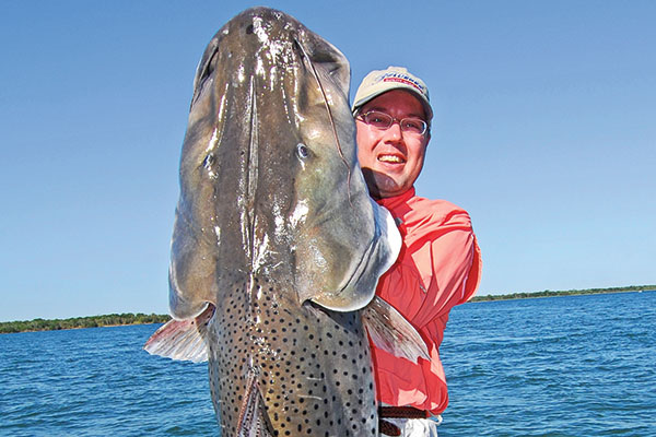 Surubi Giant Catfish 