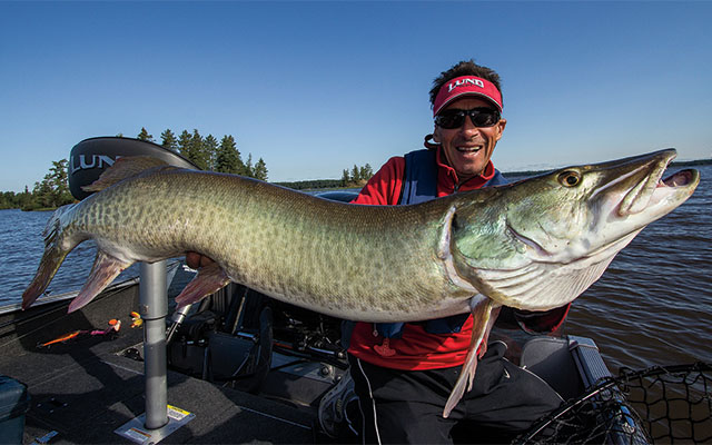 Casting For Muskies