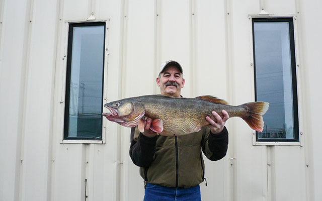 Last Chance for Big, Thin Ice Walleyes - In-Fisherman