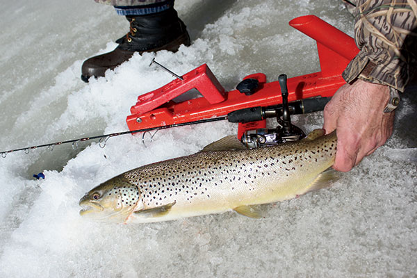 Ice Tactics for Bulging Brown Trout