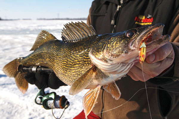 Top-Performing-Ice-Lures
