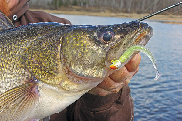 Pitching Baits to Shallow Walleyes - In-Fisherman