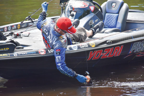 Postspawn-Bass-Fishing-Tips