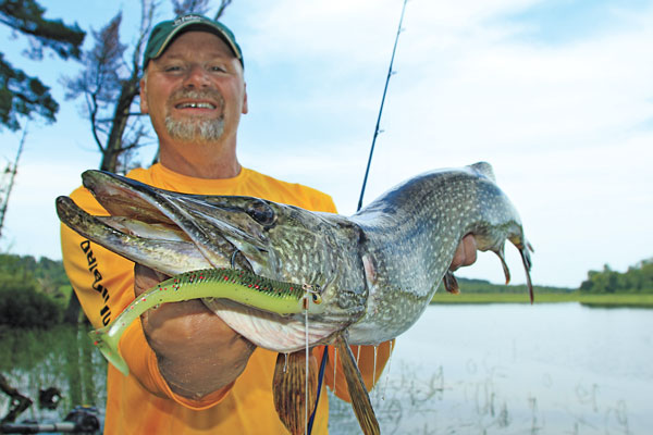 Barbless Hooks for Healthier Pike 