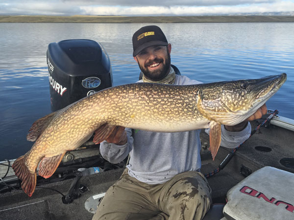 what size hook for northern pike in michigan fishing planet