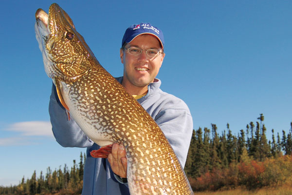 Dead bait still best for lunker pike in big bays
