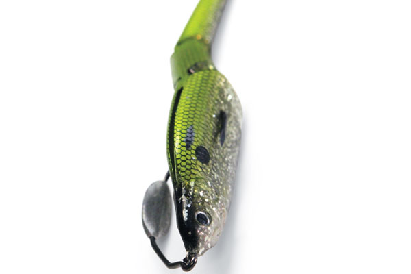 Search results for: 'weedless soft plastic wake the doe lure