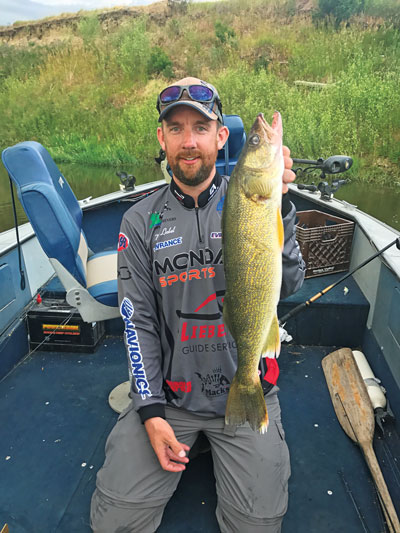 Trolling Bandits and Perfect 10s for Hog Walleye on Lake Erie 