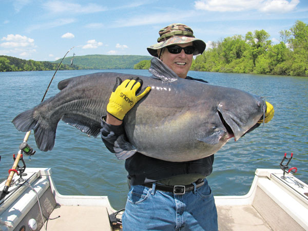 10 Places Worth Trying for Trophy Blue Cats - In-Fisherman