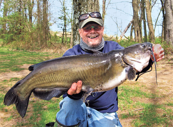 Catfish Caught while Fishing Spinning Rod Stock Image - Image of