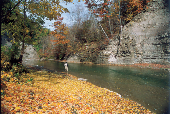 Steelhead Guide- Fly Fishing Techniques and Strategies for Lake Erie  Steelhead