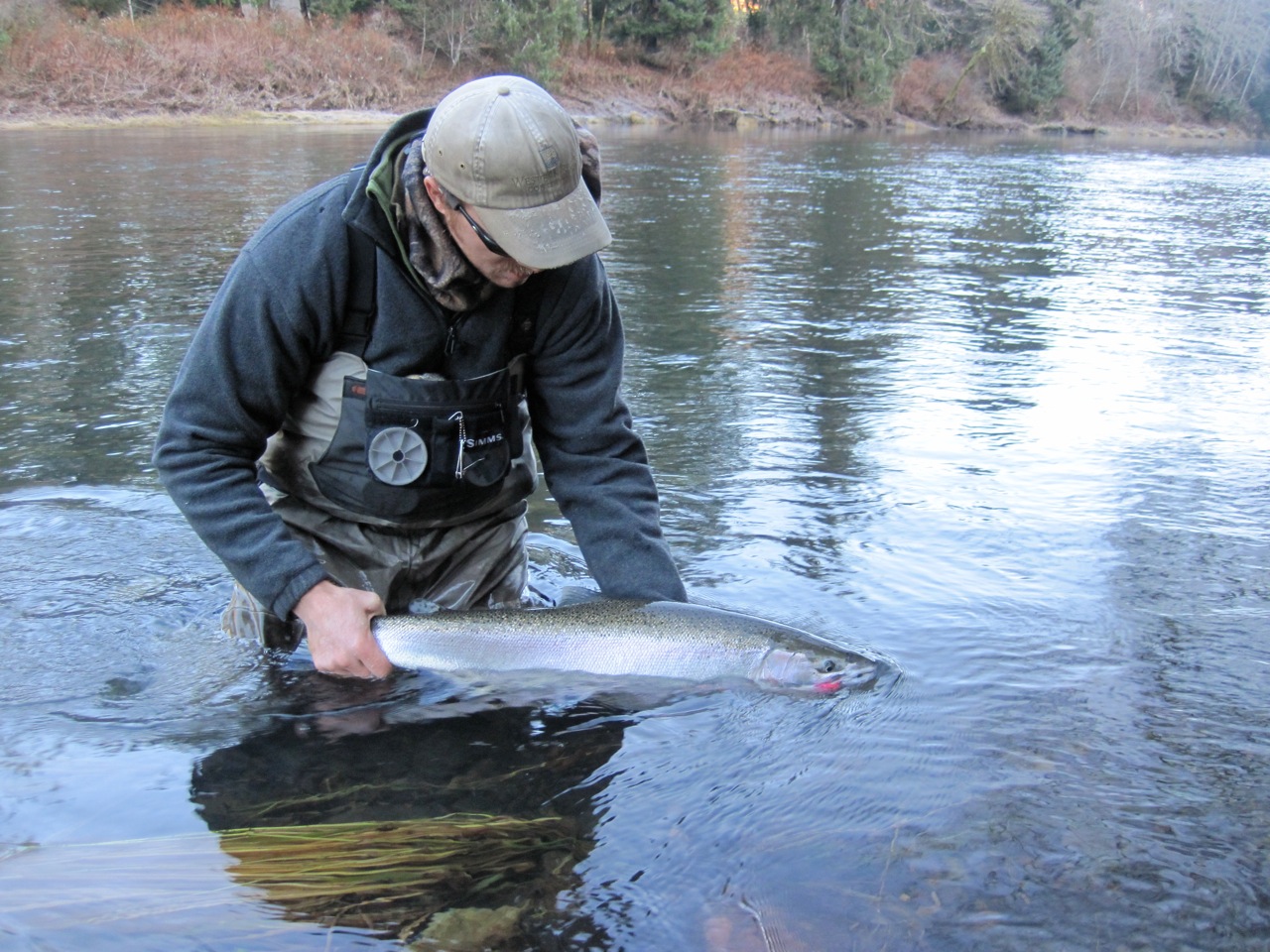 fly fisherman standing hip-deep in river, holding a steelhead looking down at it, all bundled up in winter attire