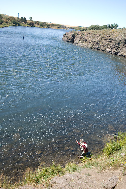 A man fly fishing Henry's Fork