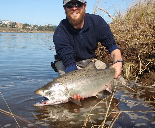 Chinook Salmon Returns For Klamath And Sac Rivers