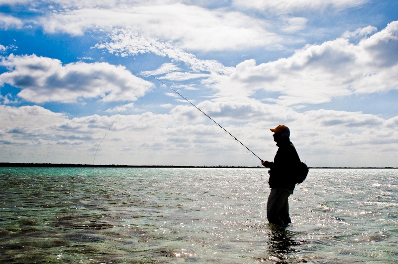 Fly Line Management