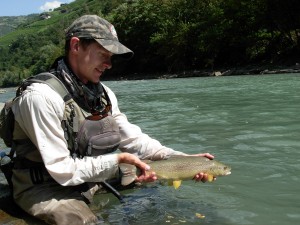 Marble Trout