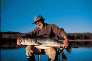 Sheep Minnow
