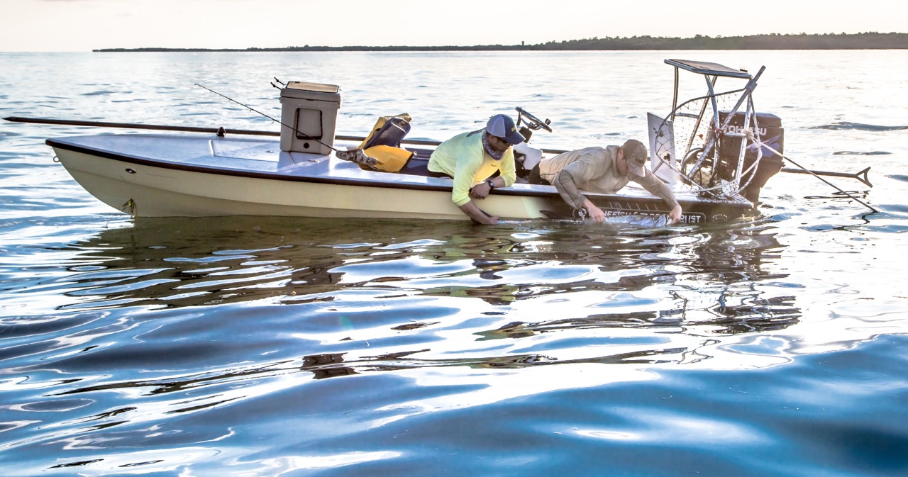 Tarpon Tracking Program