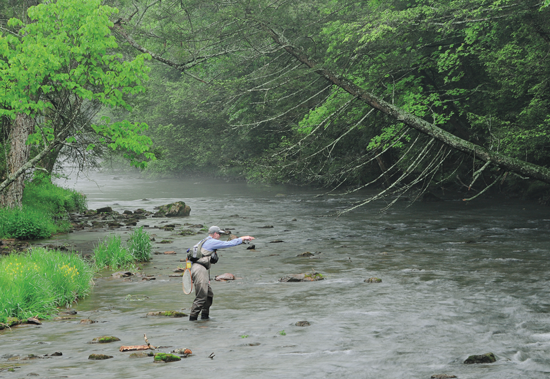 Nymph Fly Fishing
