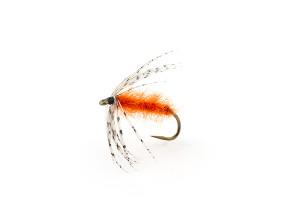 https://files.osgnetworks.tv/16/files/2016/09/Carrot-Nymph-300x200.jpg