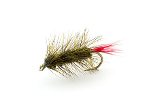 https://files.osgnetworks.tv/16/files/2016/09/WoolyWorm-300x200.jpg