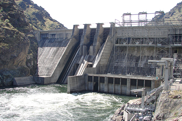 Snake River Salmonids