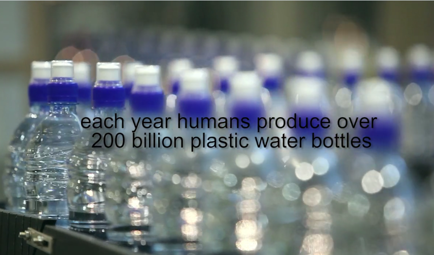 Single Use Water Bottles
