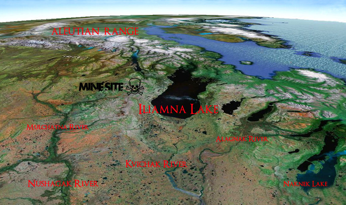 Pebble Mine