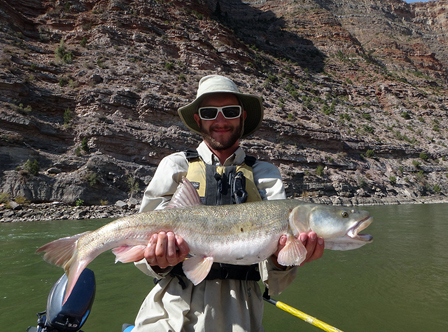 Pikeminnows