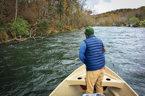 Big Tailwater Browns