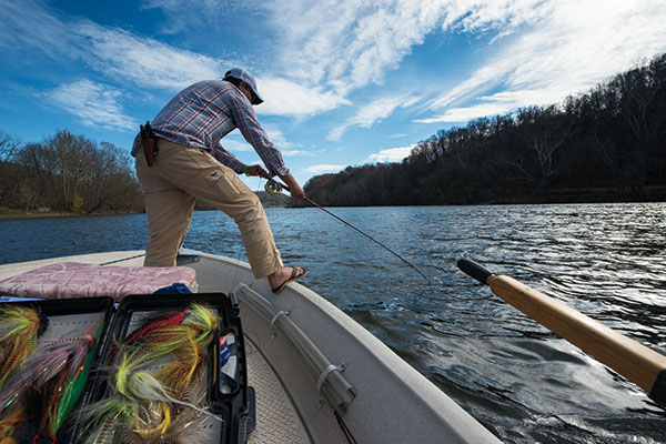 Big Tailwater Browns
