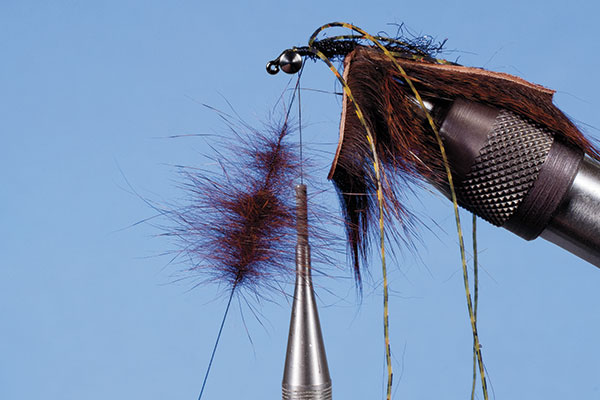Step-Five-Hell-Razor-Craw