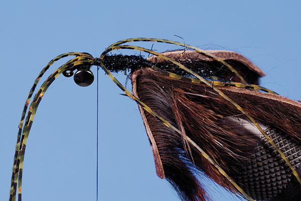 Step-Four-Hell-Razor-Craw