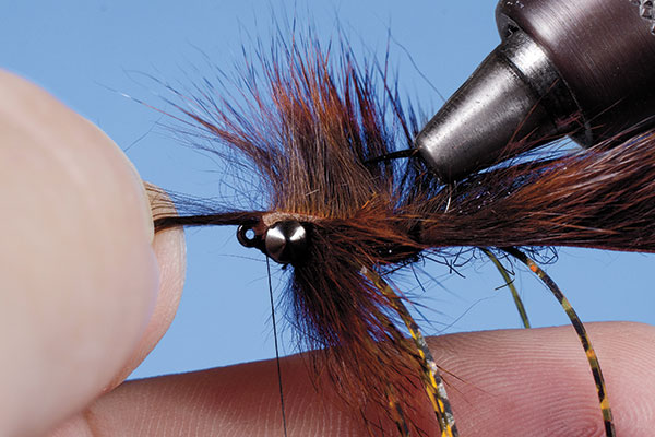 Step-Six-Hell-Razor-Craw