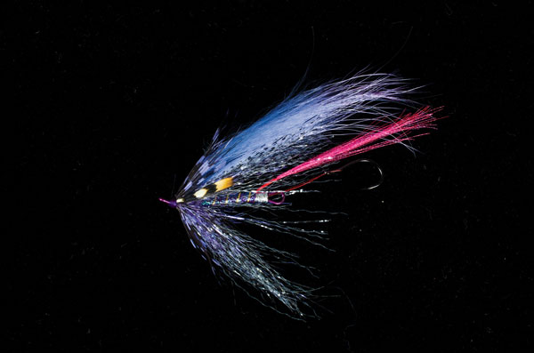 Predator Scandi