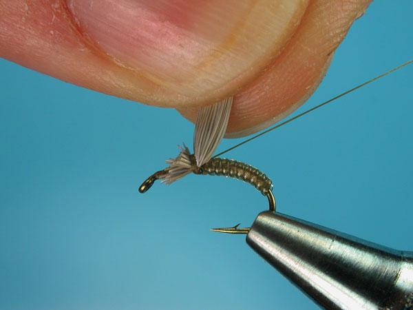 Step-3-Clown-Shoe-Caddis
