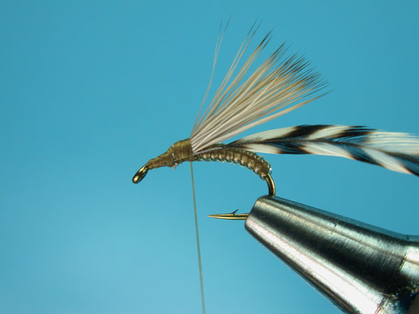 Step-4-Clown-Shoe-Caddis