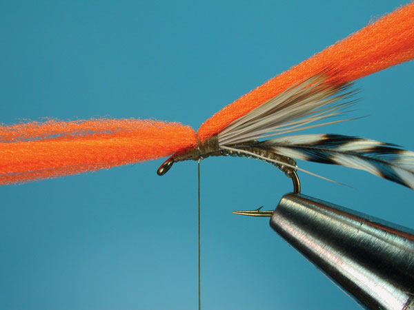 Step-5-Clown-Shoe-Caddis