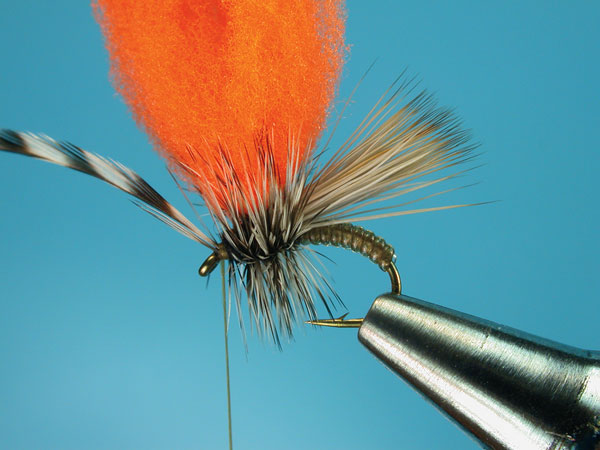 Step-7-Clown-Shoe-Caddis