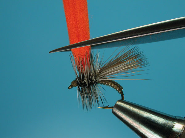 Step-8-Clown-Shoe-Caddis