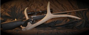 Savage 116FHSS .300 Winchester Magnum