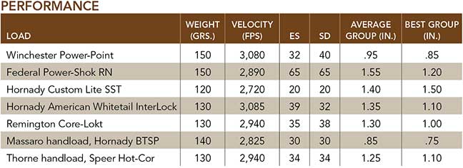 accuracy-cz-sonoran-western-series-550-review-15