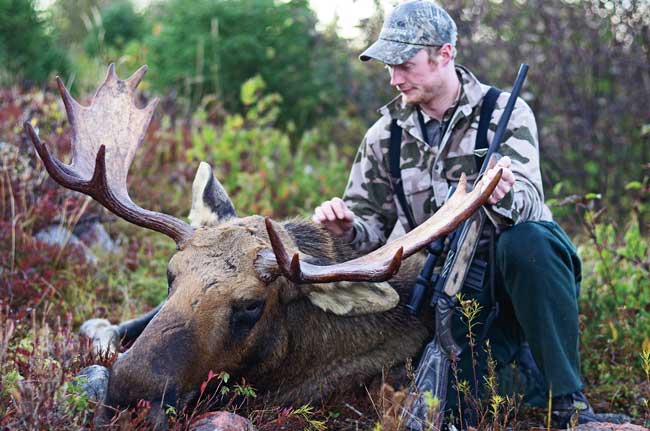 Newfoundland7