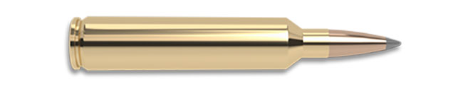 26-Nosler